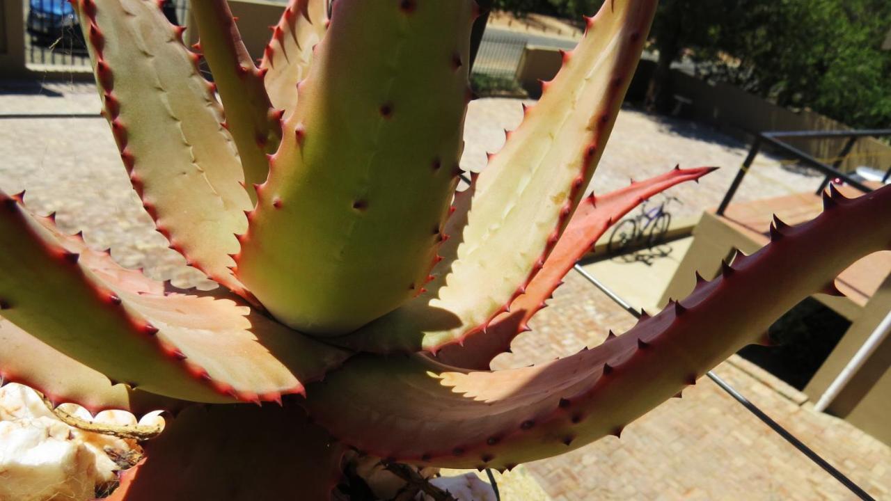 21 On Klein Karoo Oudtshoorn